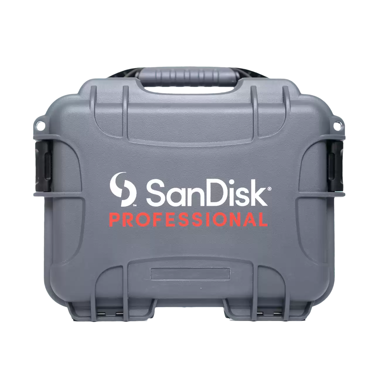 SanDisk Professional Pro-Blade Case- Zoom Image