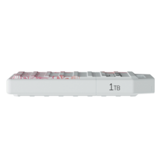 wd-black-c50-expansion-card-for-xbox-ssd-floral-side