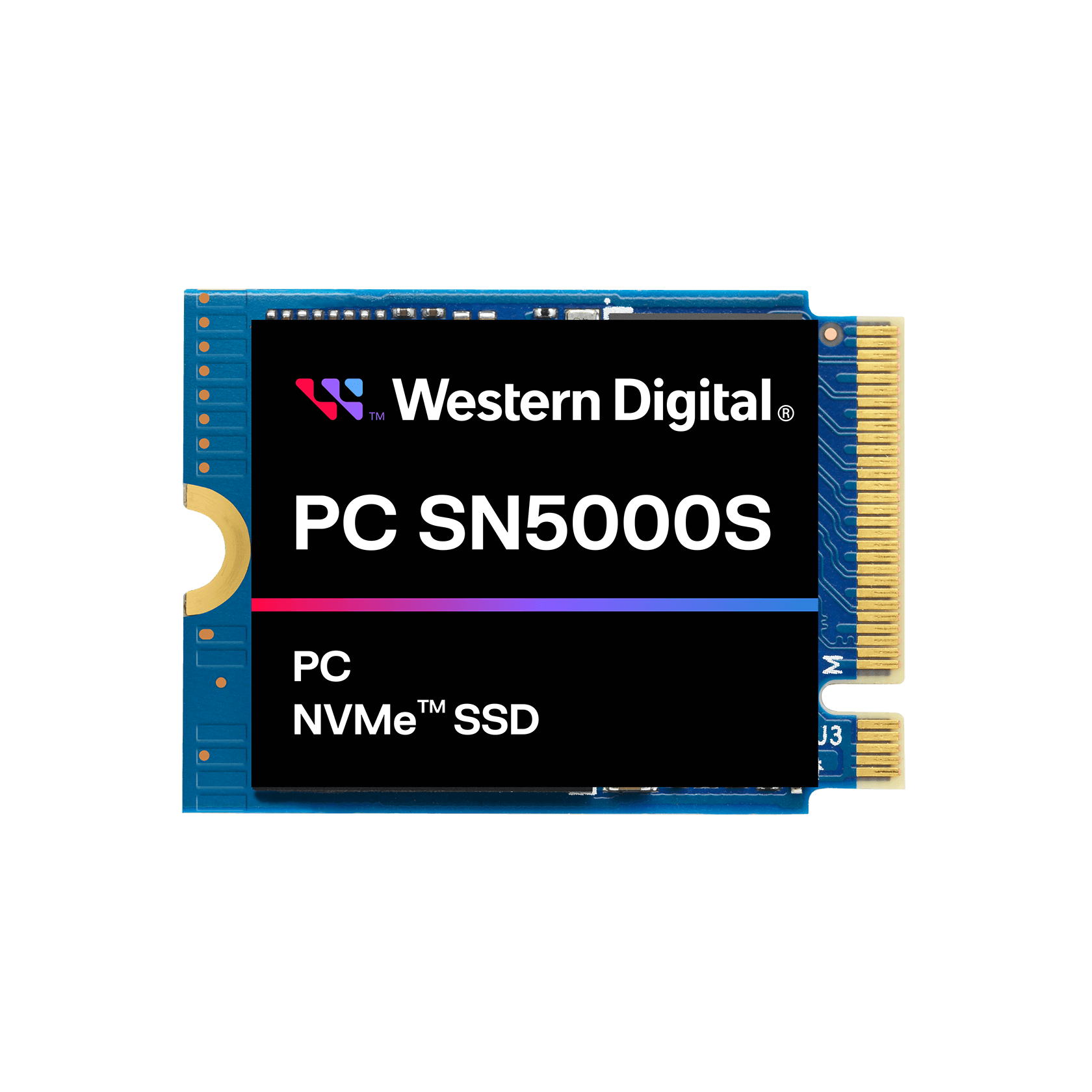 Amazon | Western Digital (ウエスタンデジタル) 1TB SSD PC