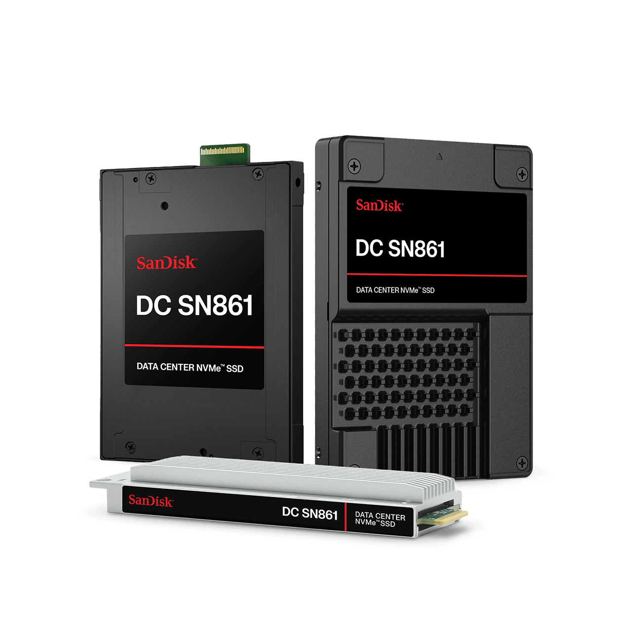 1.6TB U.2 SanDisk DC SN861 NVMe SSD | Sandisk