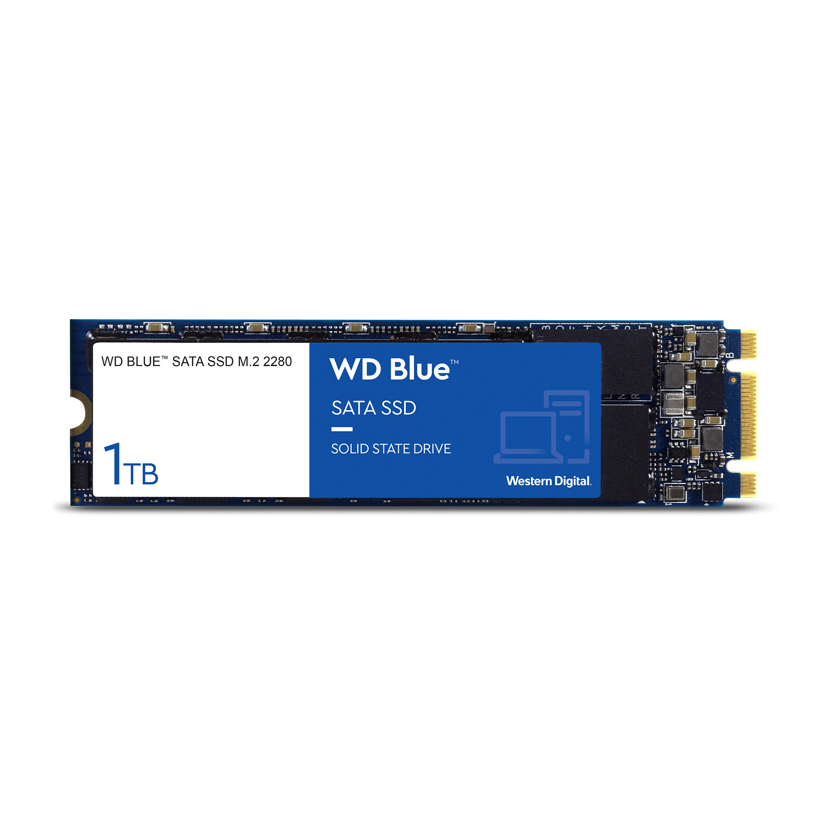 Ssd m2 wd blue on sale