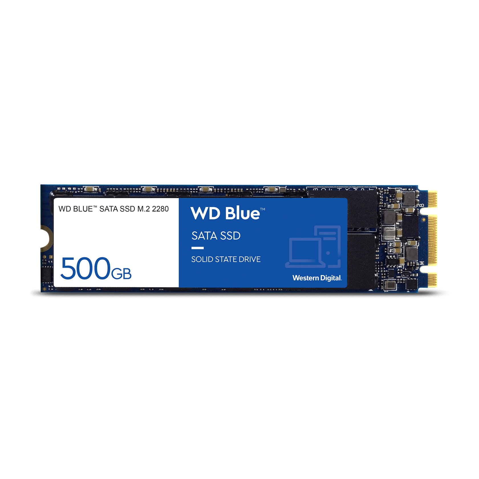 Wd blue ssd m2 store