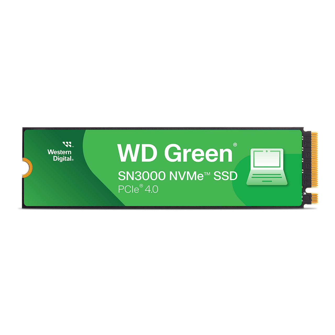 1TB WD Green SN3000 NVMe SSD | Sandisk