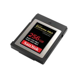 Extreme PRO CF express Type-B 256GB right angled image