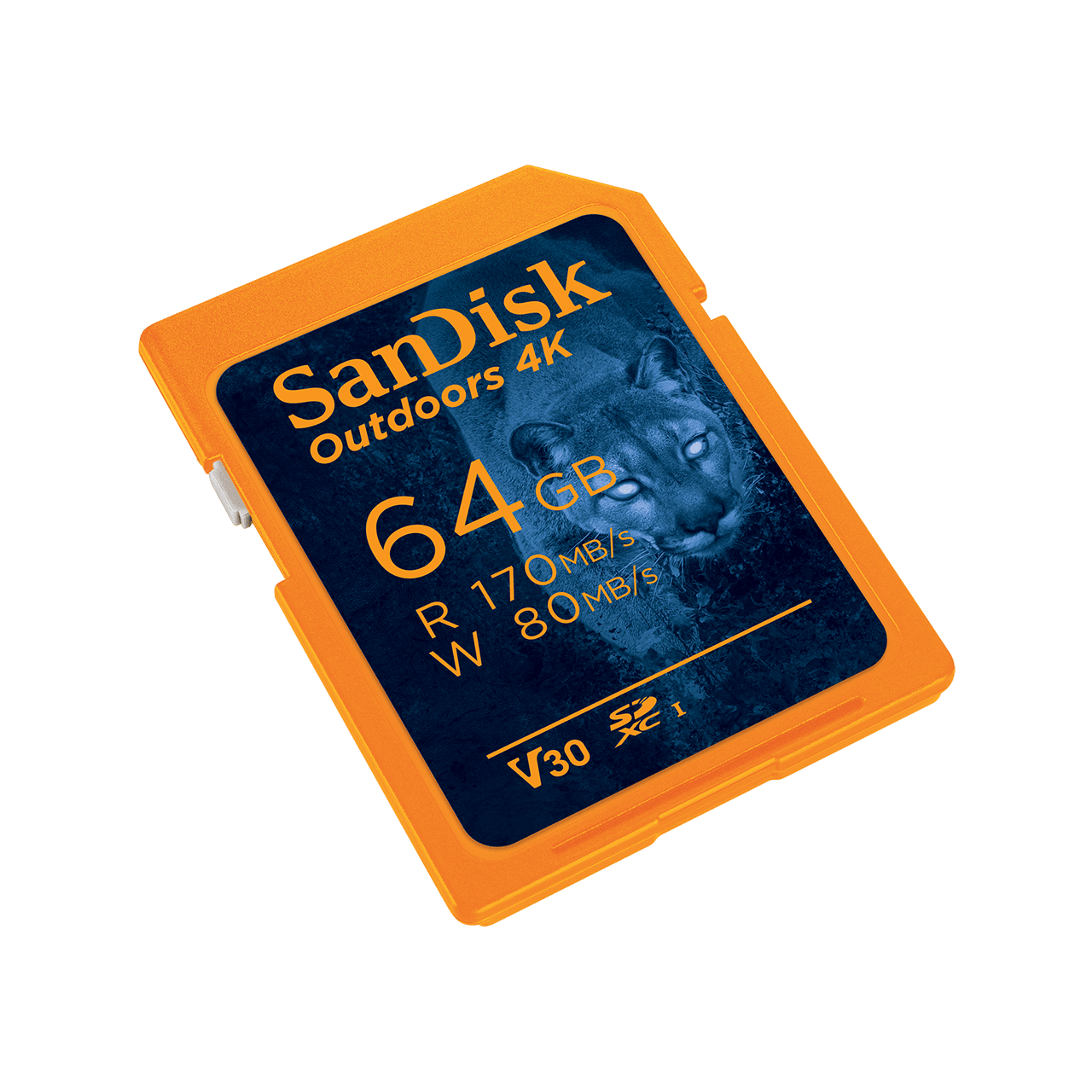 Sandisk 4k discount