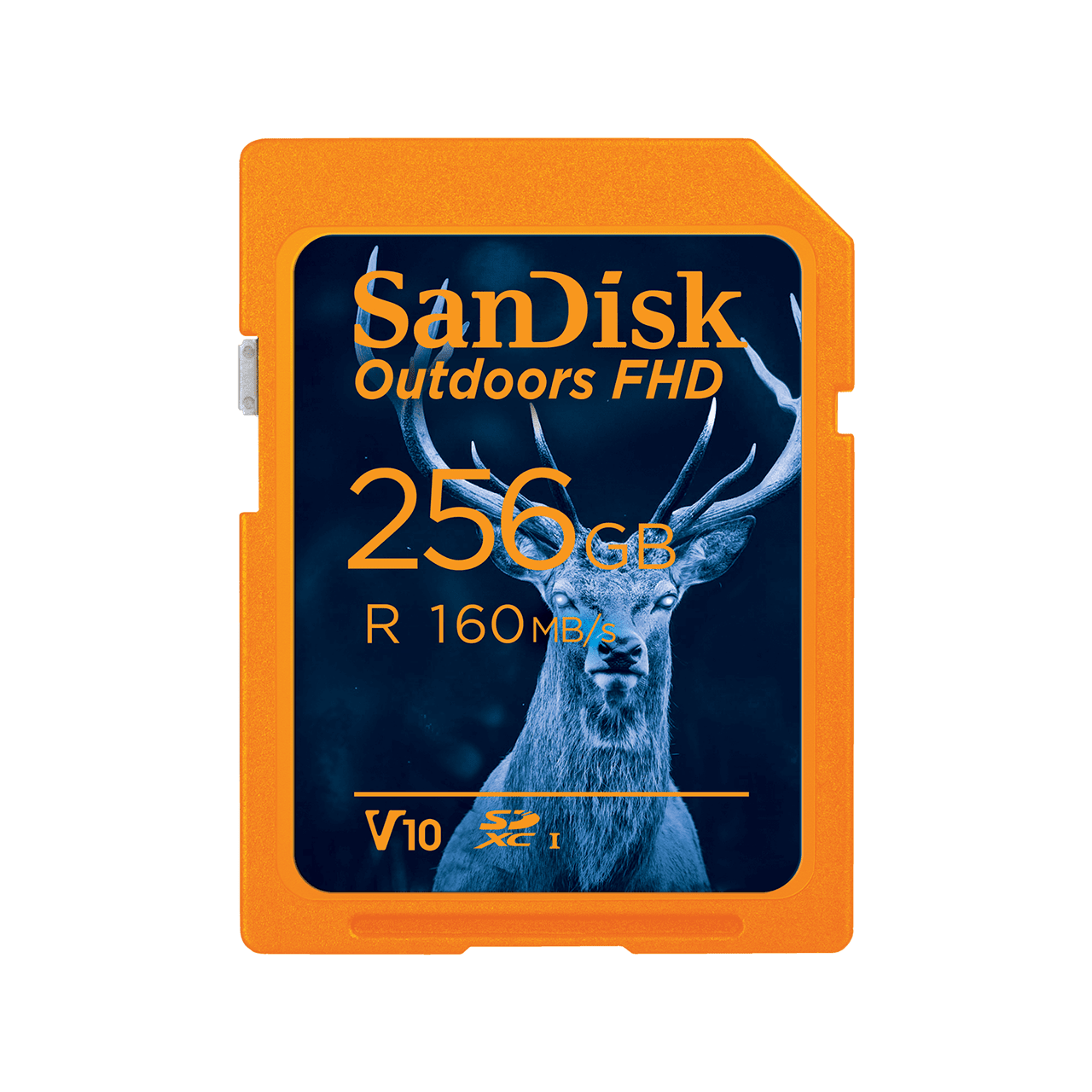 SanDisk Outdoors FHD SDXC UHS-I Card - 256GB Single Pack - Image8